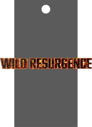 DBS BT21 Wild Resurgence Booster Pack