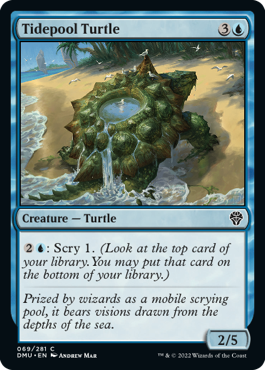 Tidepool Turtle - Dominaria United - C - 69