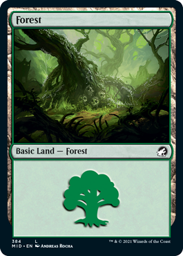 Forest (384) - Innistrad: Midnight Hunt - L - 384