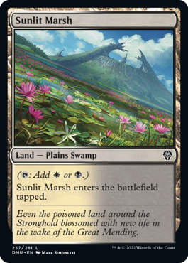 Sunlit Marsh - Dominaria United - L - 257