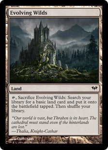 Evolving Wilds - C - Dark Ascension - 155