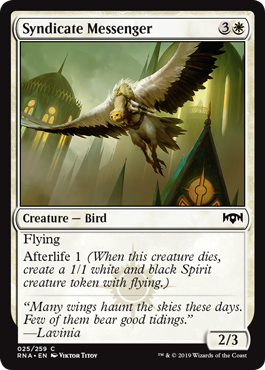 Syndicate Messenger - Ravnica Allegiance - C - 25