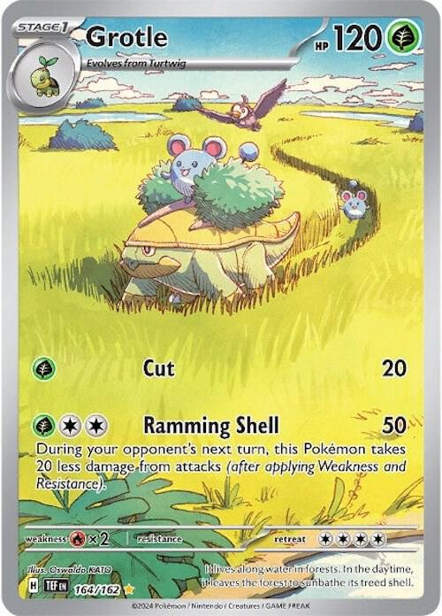 Grotle - 164/162 - SV05: Temporal Forces - Illustration Rare - 164/162