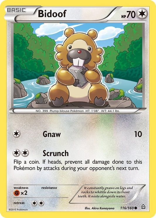 Bidoof - XY - Primal Clash - Common - 116/160