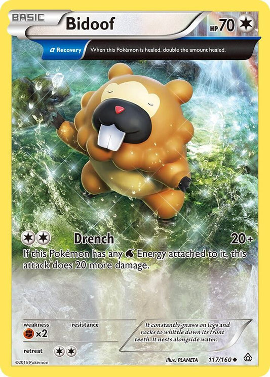 Bidoof (Alpha) - XY - Primal Clash - Uncommon - 117/160