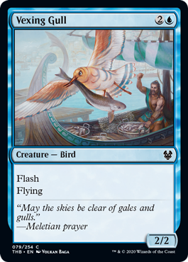 Vexing Gull - Theros Beyond Death - C - 79