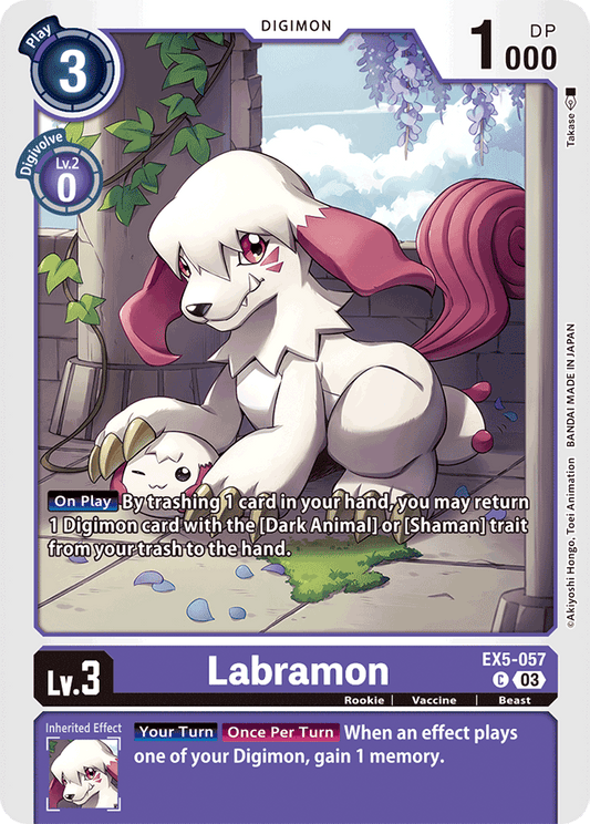 Labramon - Animal Colosseum - Common - EX5-057 C