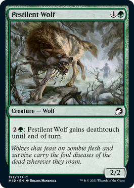 Pestilent Wolf - Innistrad: Midnight Hunt - C - 192