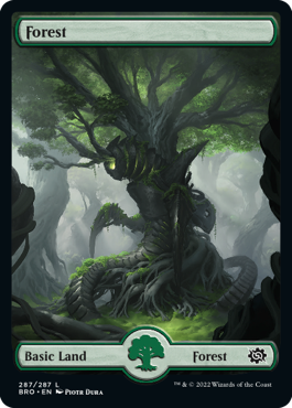 Forest (287) - Full Art - The Brothers' War - L - 287