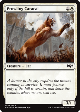 Prowling Caracal - Ravnica Allegiance - C - 17